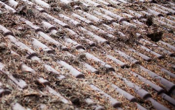 Alltour roof cleaning companies